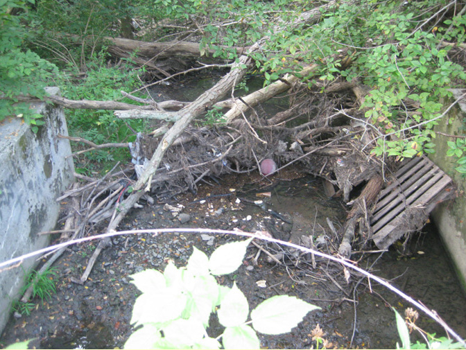 09/01/10 - FMCPT clears culvert between Midway Street and the Prairie Grass Trailhead