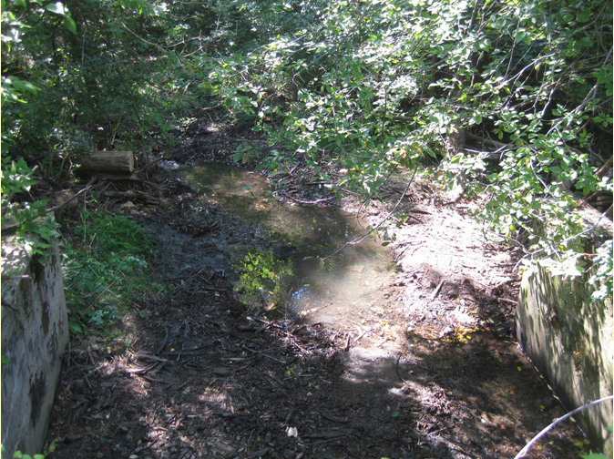 09/01/10 - FMCPT clears culvert between Midway Street and the Prairie Grass Trailhead