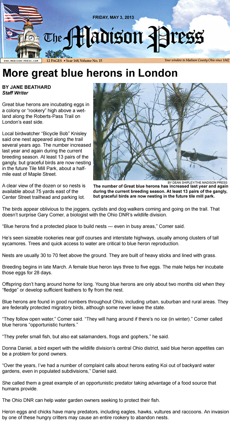 05-03-13 - Madison Press article: More great blue herons in London